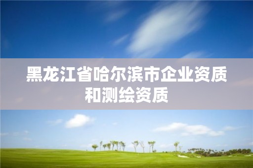 黑龙江省哈尔滨市企业资质和测绘资质