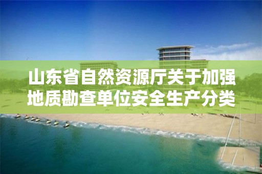 山东省自然资源厅关于加强地质勘查单位安全生产分类分级监督管理工作的通知