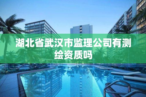 湖北省武汉市监理公司有测绘资质吗