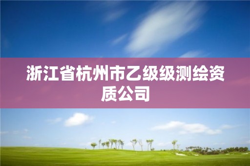 浙江省杭州市乙级级测绘资质公司