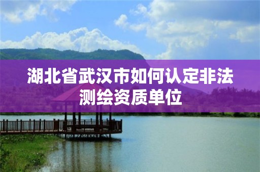 湖北省武汉市如何认定非法测绘资质单位