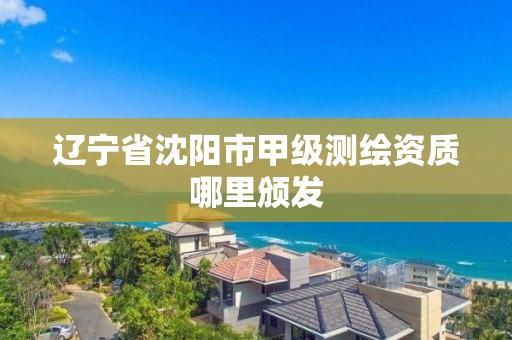 辽宁省沈阳市甲级测绘资质哪里颁发