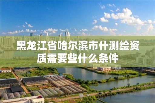 黑龙江省哈尔滨市什测绘资质需要些什么条件