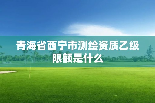 青海省西宁市测绘资质乙级限额是什么