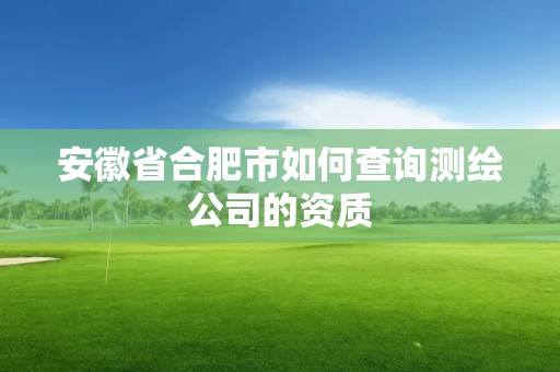 安徽省合肥市如何查询测绘公司的资质