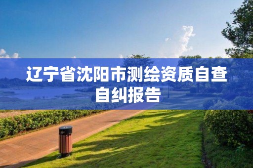 辽宁省沈阳市测绘资质自查自纠报告