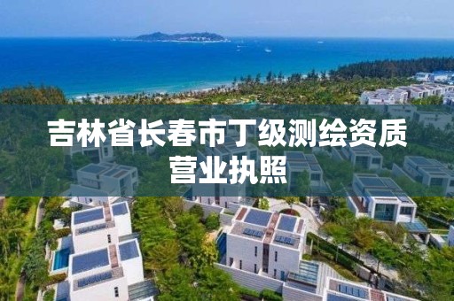 吉林省长春市丁级测绘资质营业执照