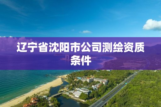 辽宁省沈阳市公司测绘资质条件