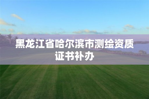 黑龙江省哈尔滨市测绘资质证书补办