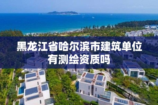 黑龙江省哈尔滨市建筑单位有测绘资质吗