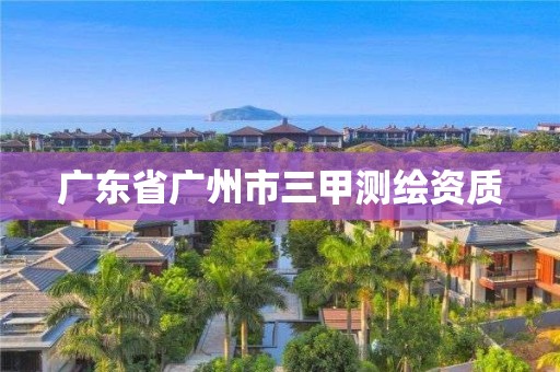 广东省广州市三甲测绘资质