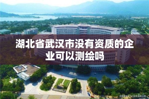 湖北省武汉市没有资质的企业可以测绘吗