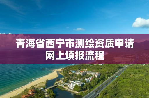 青海省西宁市测绘资质申请网上填报流程