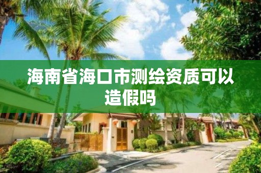 海南省海口市测绘资质可以造假吗