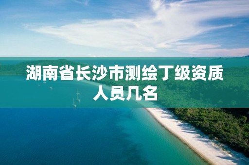 湖南省长沙市测绘丁级资质人员几名