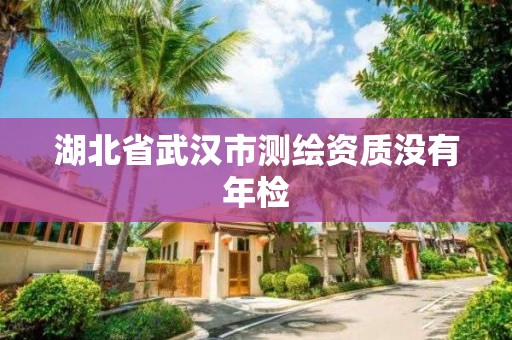 湖北省武汉市测绘资质没有年检