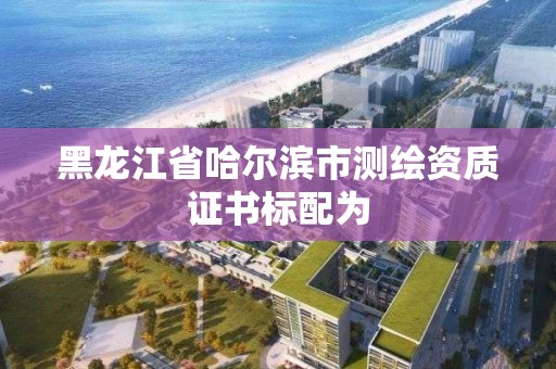 黑龙江省哈尔滨市测绘资质证书标配为