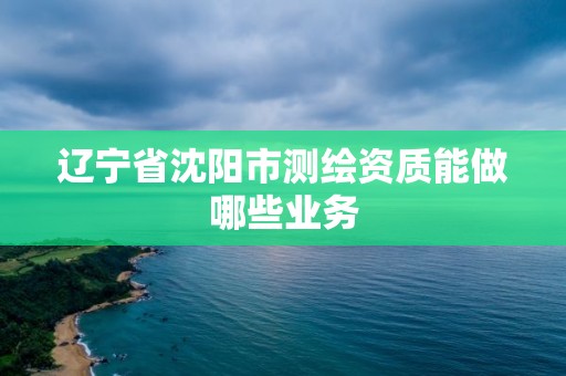 辽宁省沈阳市测绘资质能做哪些业务