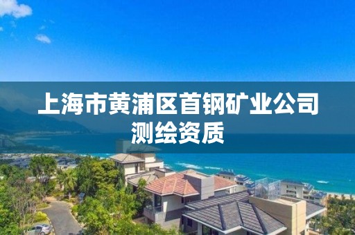 上海市黄浦区首钢矿业公司测绘资质