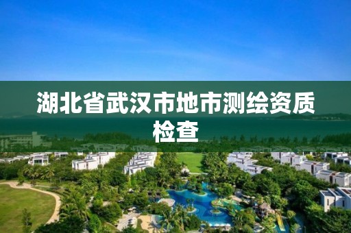 湖北省武汉市地市测绘资质检查