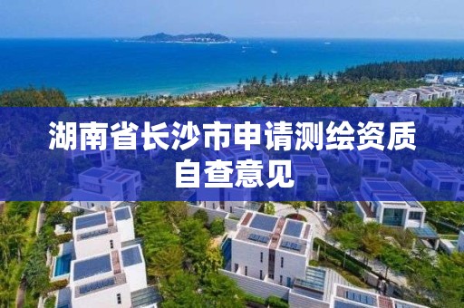 湖南省长沙市申请测绘资质自查意见