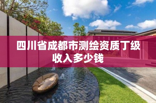 四川省成都市测绘资质丁级收入多少钱