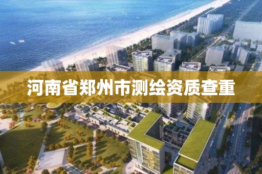 河南省郑州市测绘资质查重