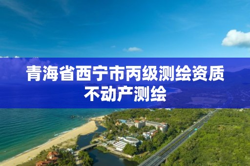 青海省西宁市丙级测绘资质不动产测绘