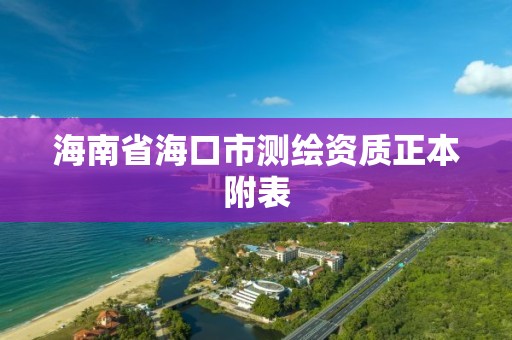 海南省海口市测绘资质正本附表