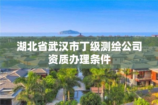 湖北省武汉市丁级测绘公司资质办理条件