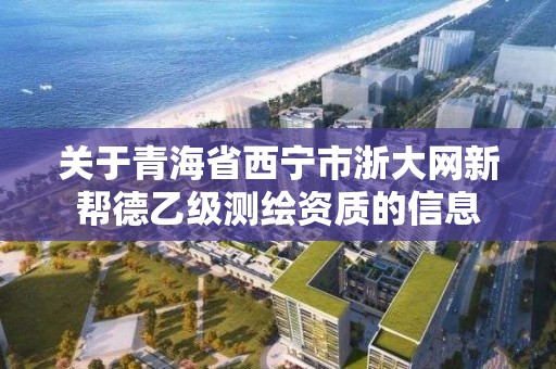 关于青海省西宁市浙大网新帮德乙级测绘资质的信息