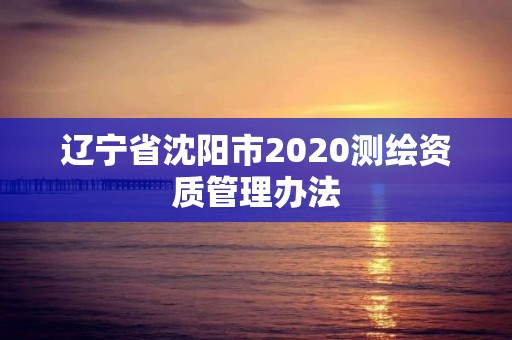 辽宁省沈阳市2020测绘资质管理办法