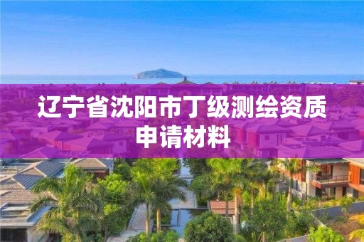 辽宁省沈阳市丁级测绘资质申请材料