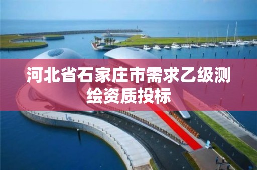 河北省石家庄市需求乙级测绘资质投标