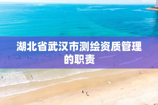 湖北省武汉市测绘资质管理的职责