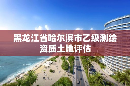 黑龙江省哈尔滨市乙级测绘资质土地评估