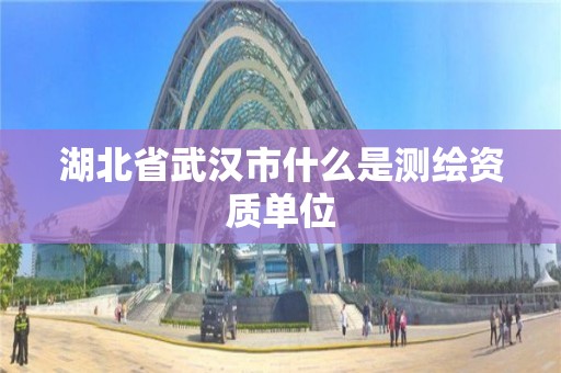 湖北省武汉市什么是测绘资质单位