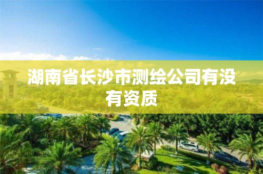 湖南省长沙市测绘公司有没有资质