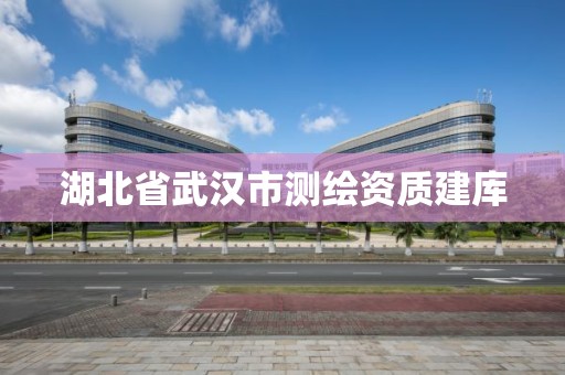 湖北省武汉市测绘资质建库