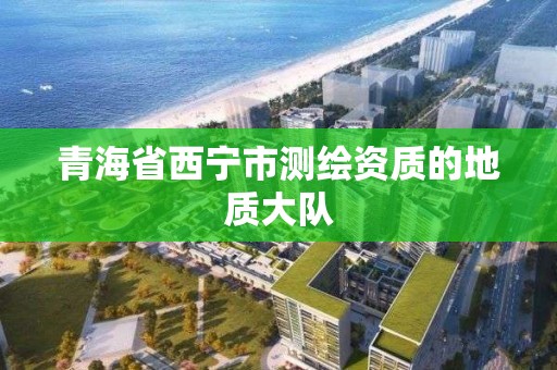 青海省西宁市测绘资质的地质大队