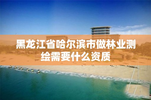 黑龙江省哈尔滨市做林业测绘需要什么资质