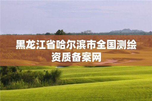 黑龙江省哈尔滨市全国测绘资质备案网