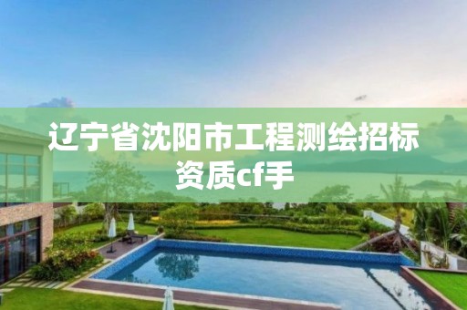 辽宁省沈阳市工程测绘招标资质cf手