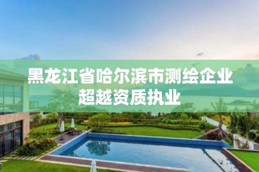 黑龙江省哈尔滨市测绘企业超越资质执业