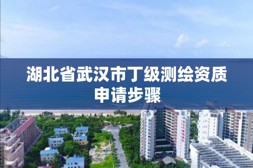 湖北省武汉市丁级测绘资质申请步骤