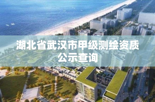 湖北省武汉市甲级测绘资质公示查询