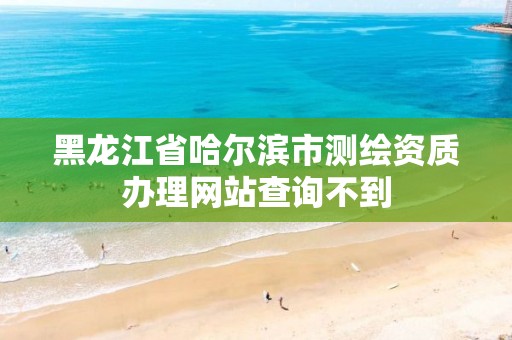 黑龙江省哈尔滨市测绘资质办理网站查询不到