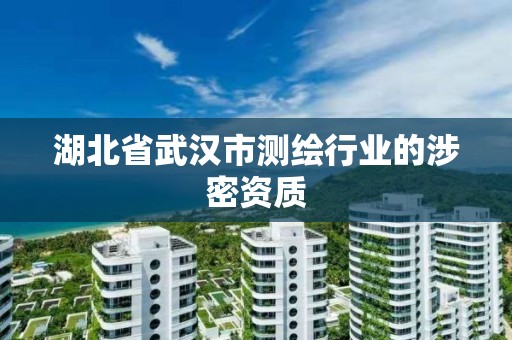 湖北省武汉市测绘行业的涉密资质