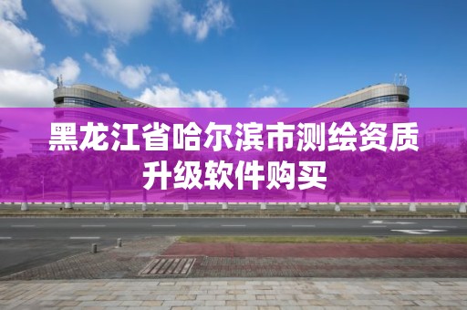 黑龙江省哈尔滨市测绘资质升级软件购买