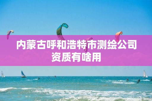 内蒙古呼和浩特市测绘公司资质有啥用